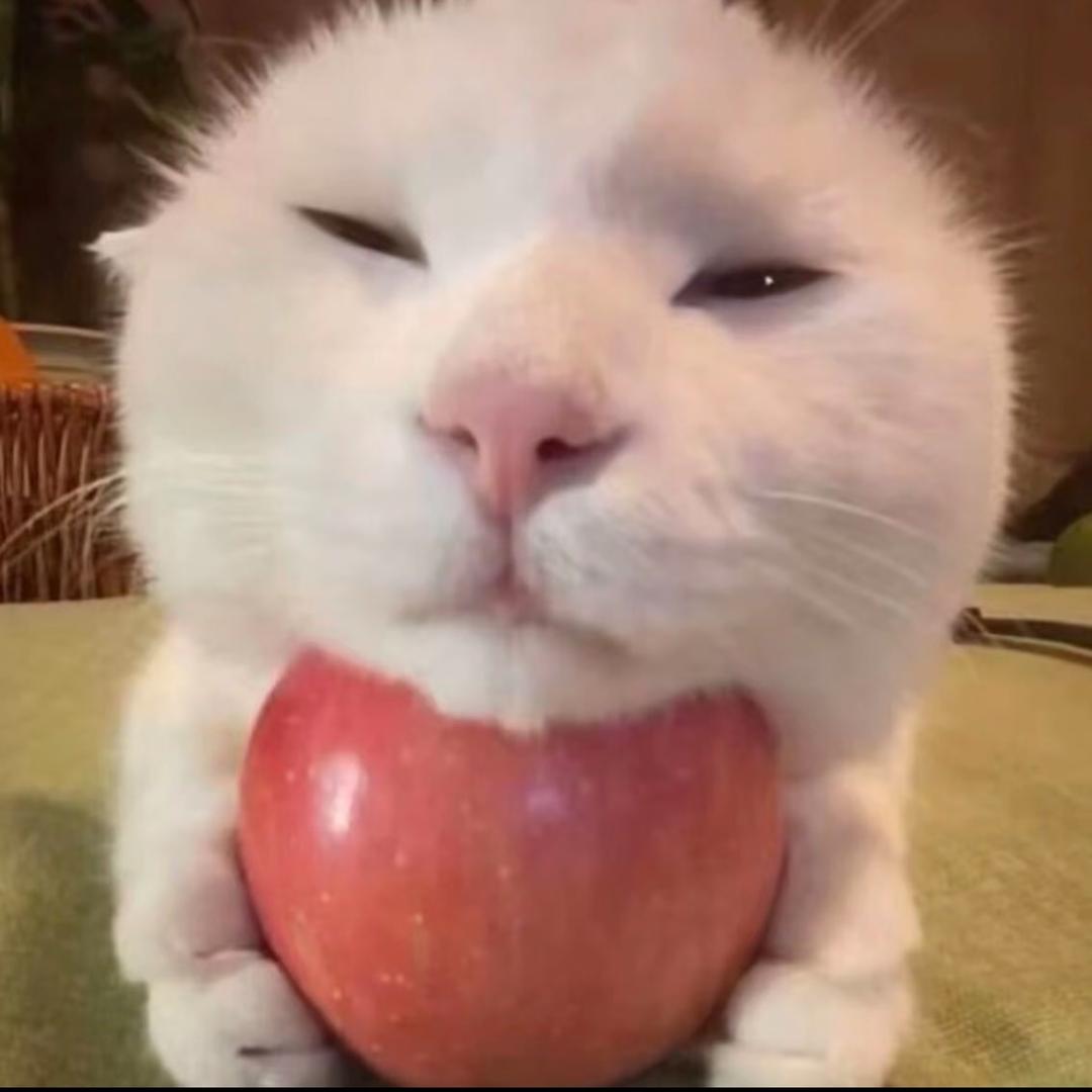 你饿不饿我饿＾