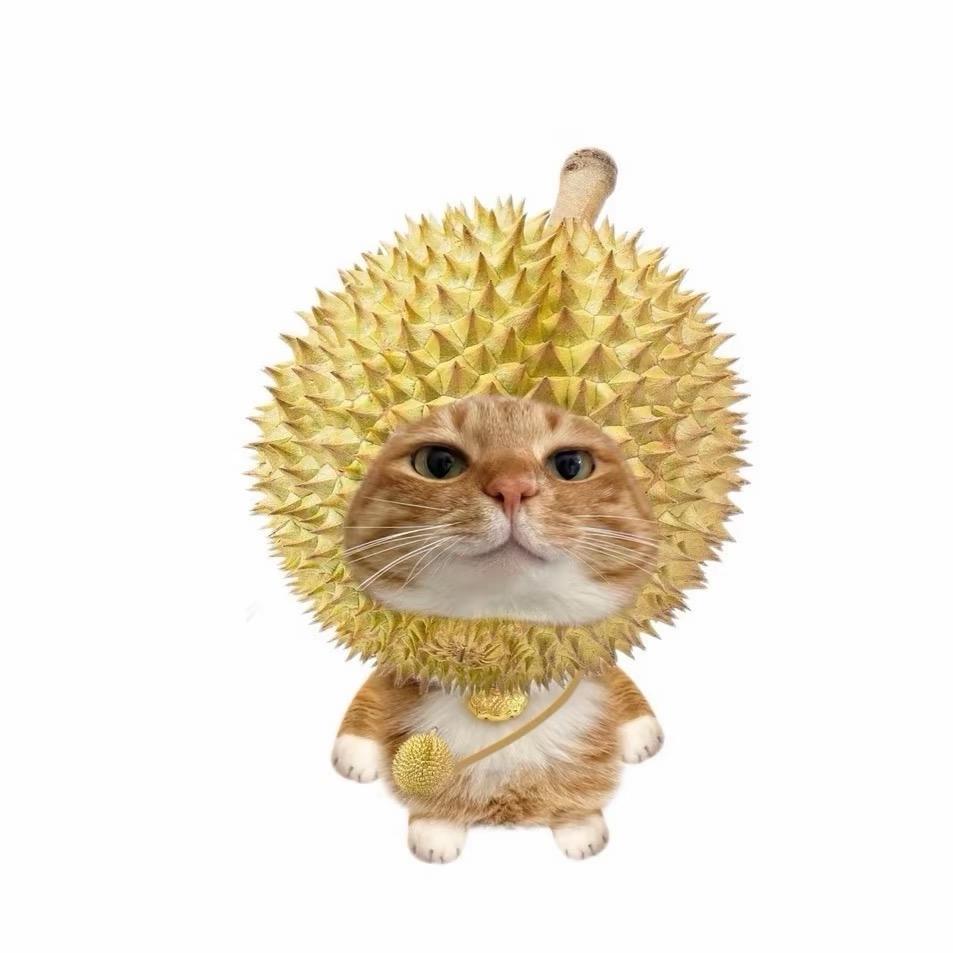 丨