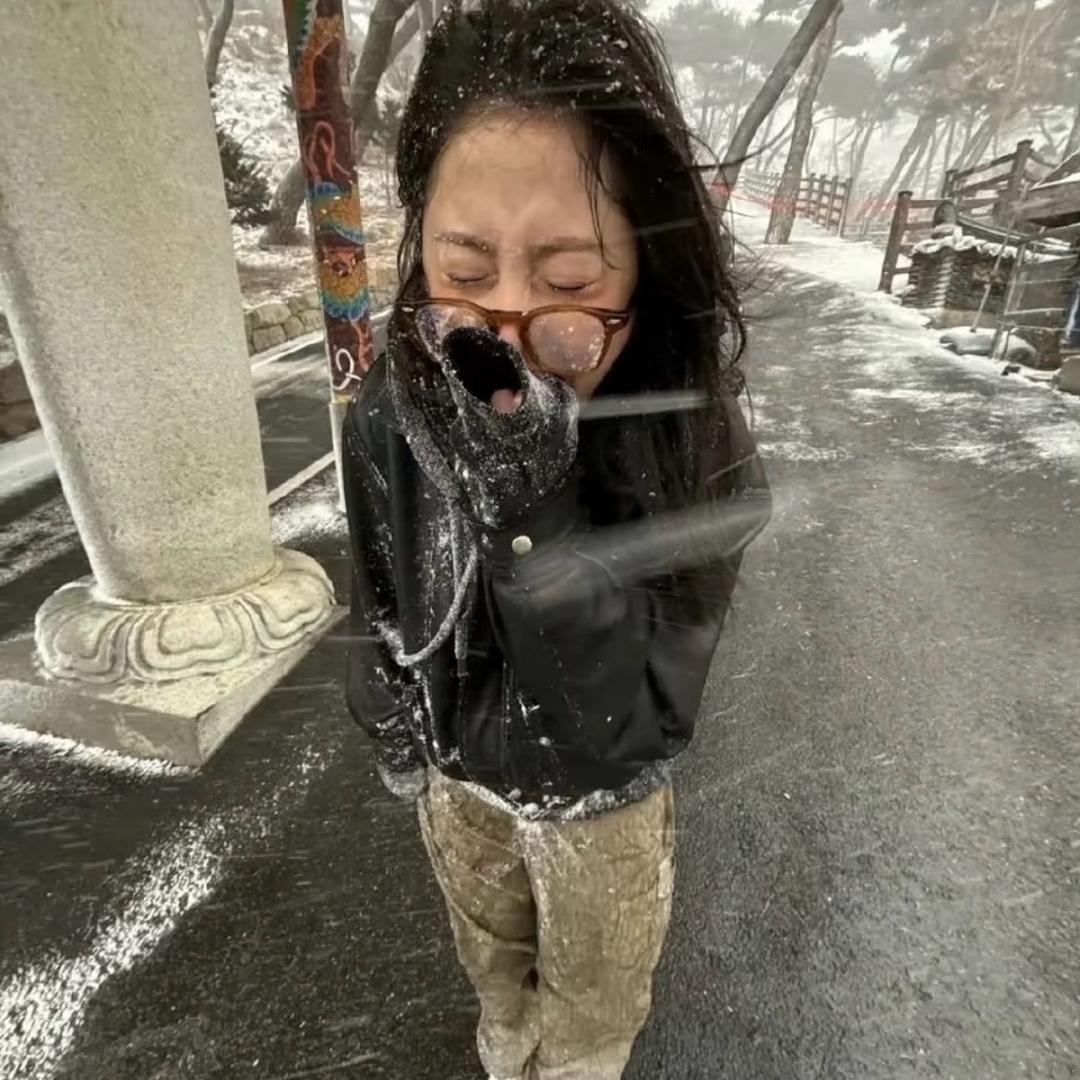 嘉
