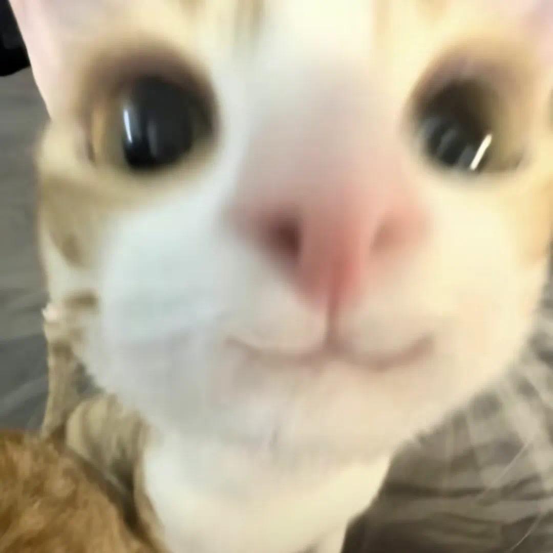 一盒蛋