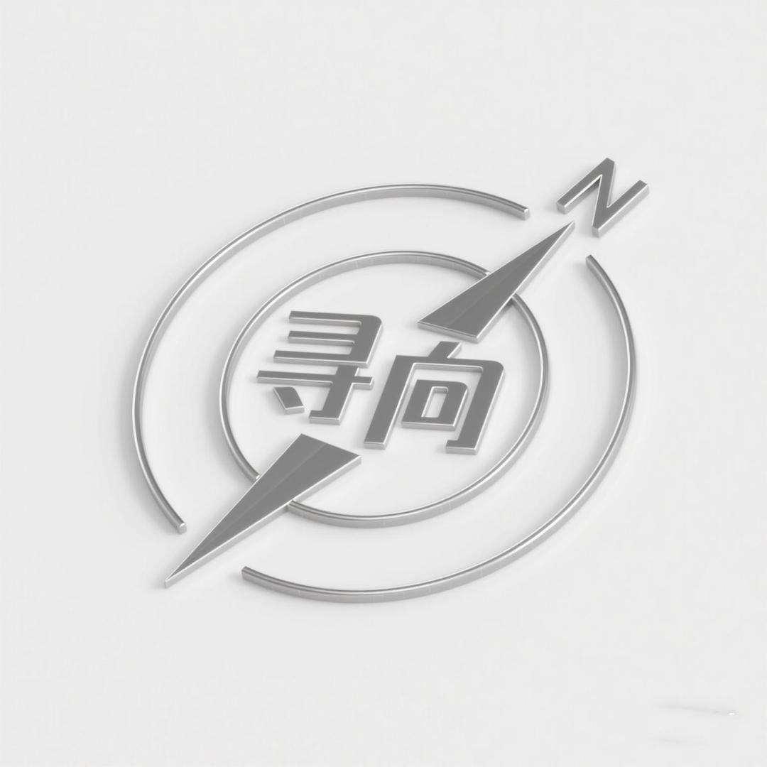 寻向咨询