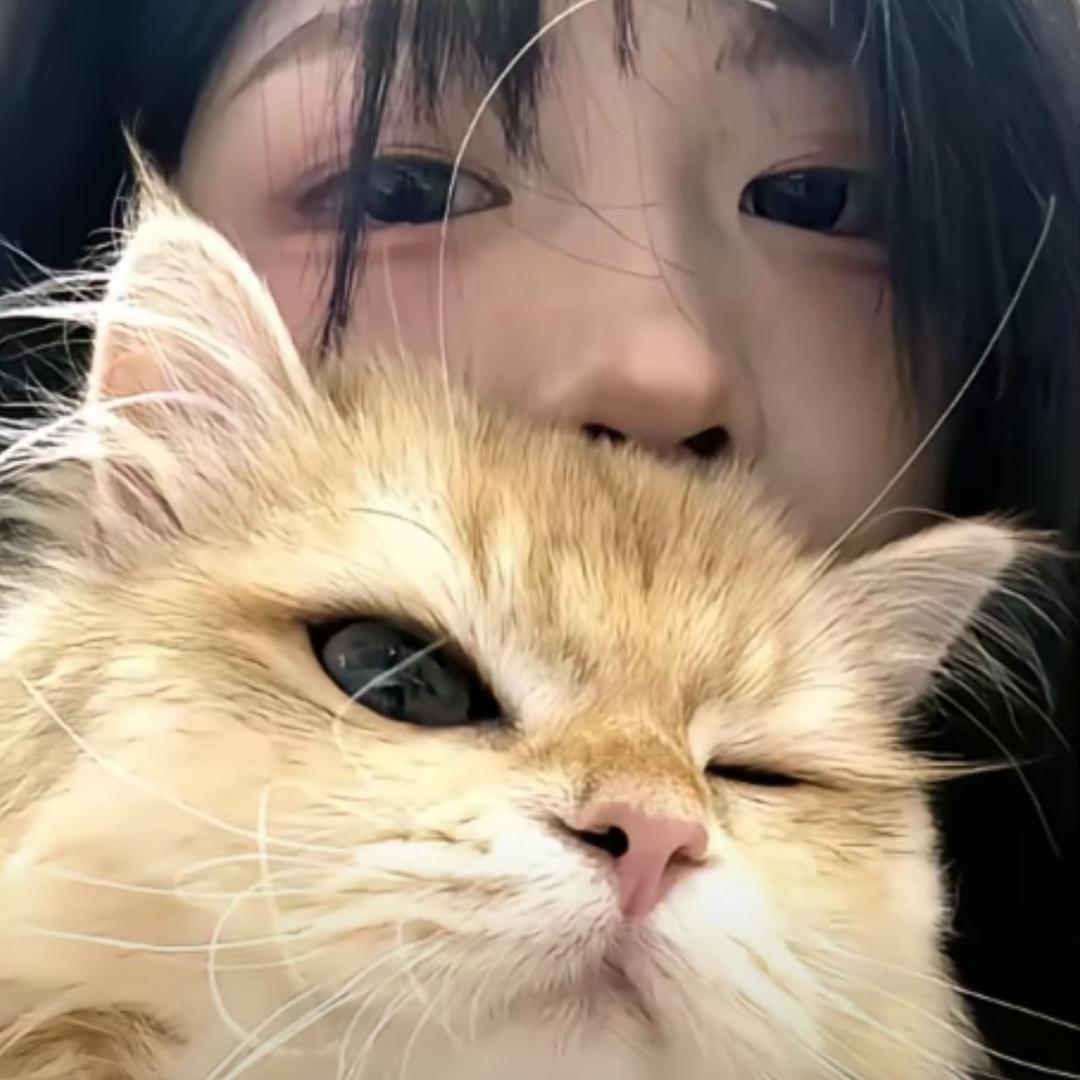 小芯
