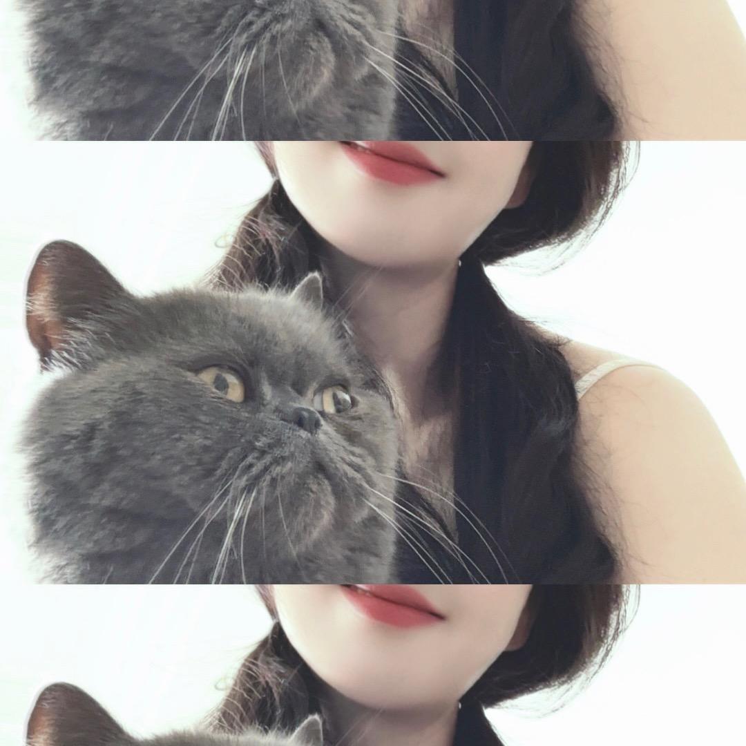 拾肆是拾肆 💭 🐈‍⬛ "