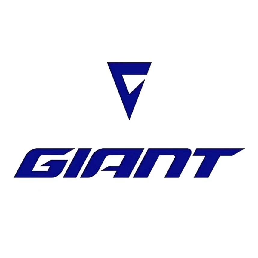 捷安特天津滨海总店