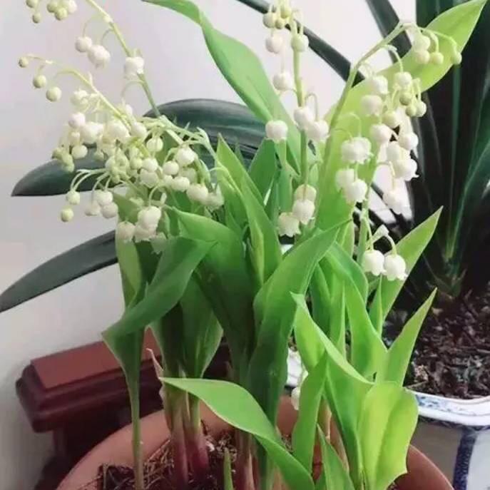 我的网名