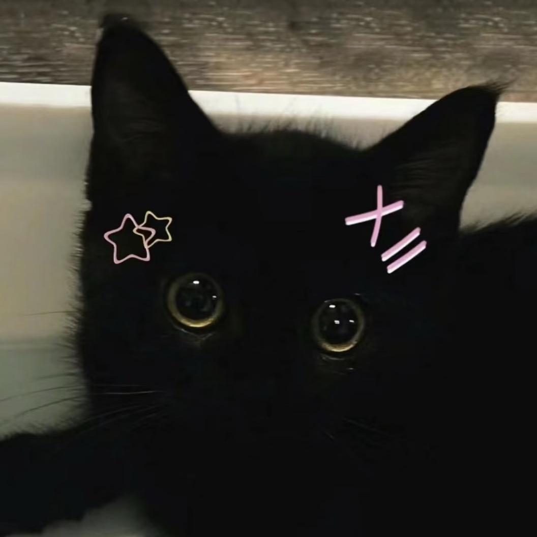 v.v