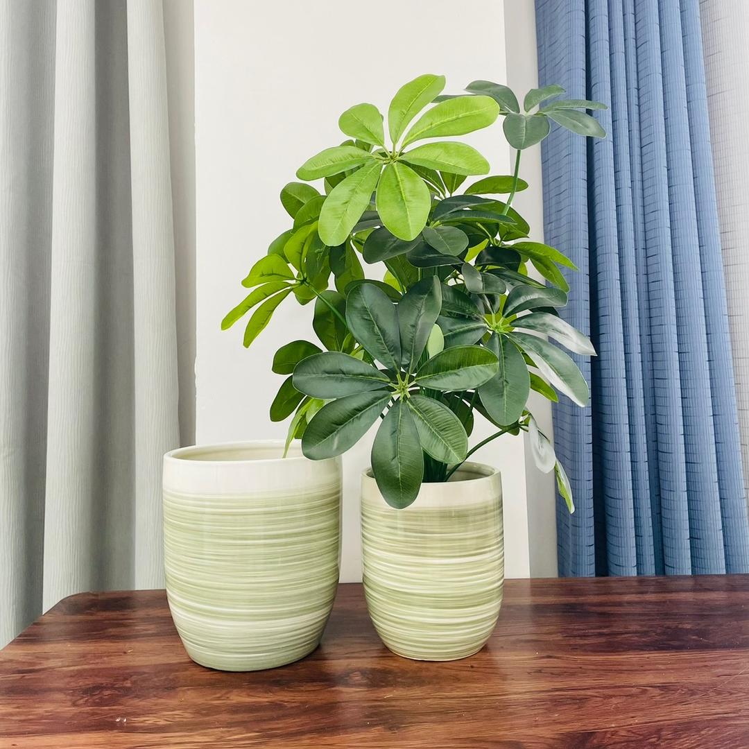 芊花园园艺授权企业店
