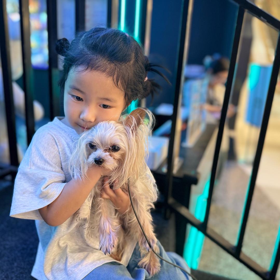 潦草小狗