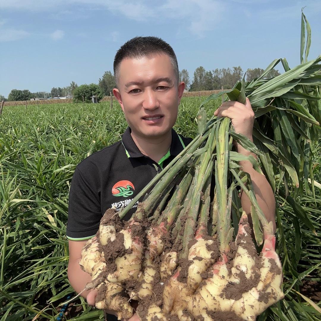 最美大姜🌱姜仔芽
