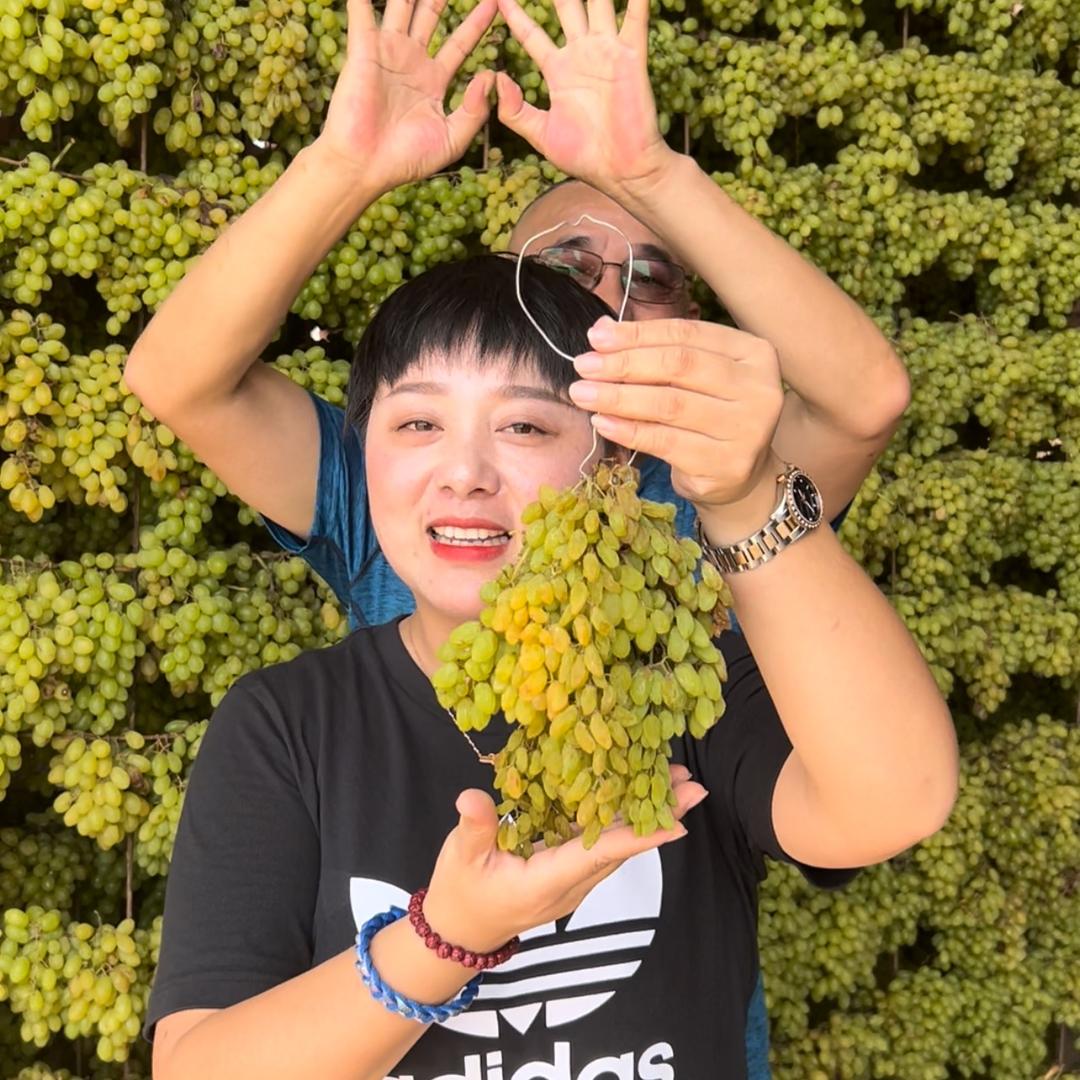 咱老家金谷子新疆特产