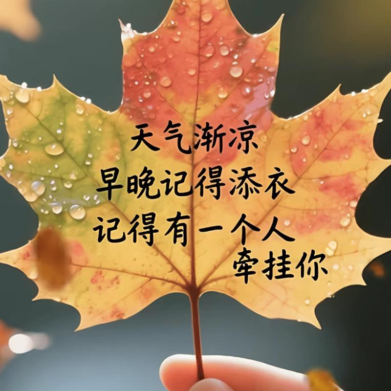 陈默是金