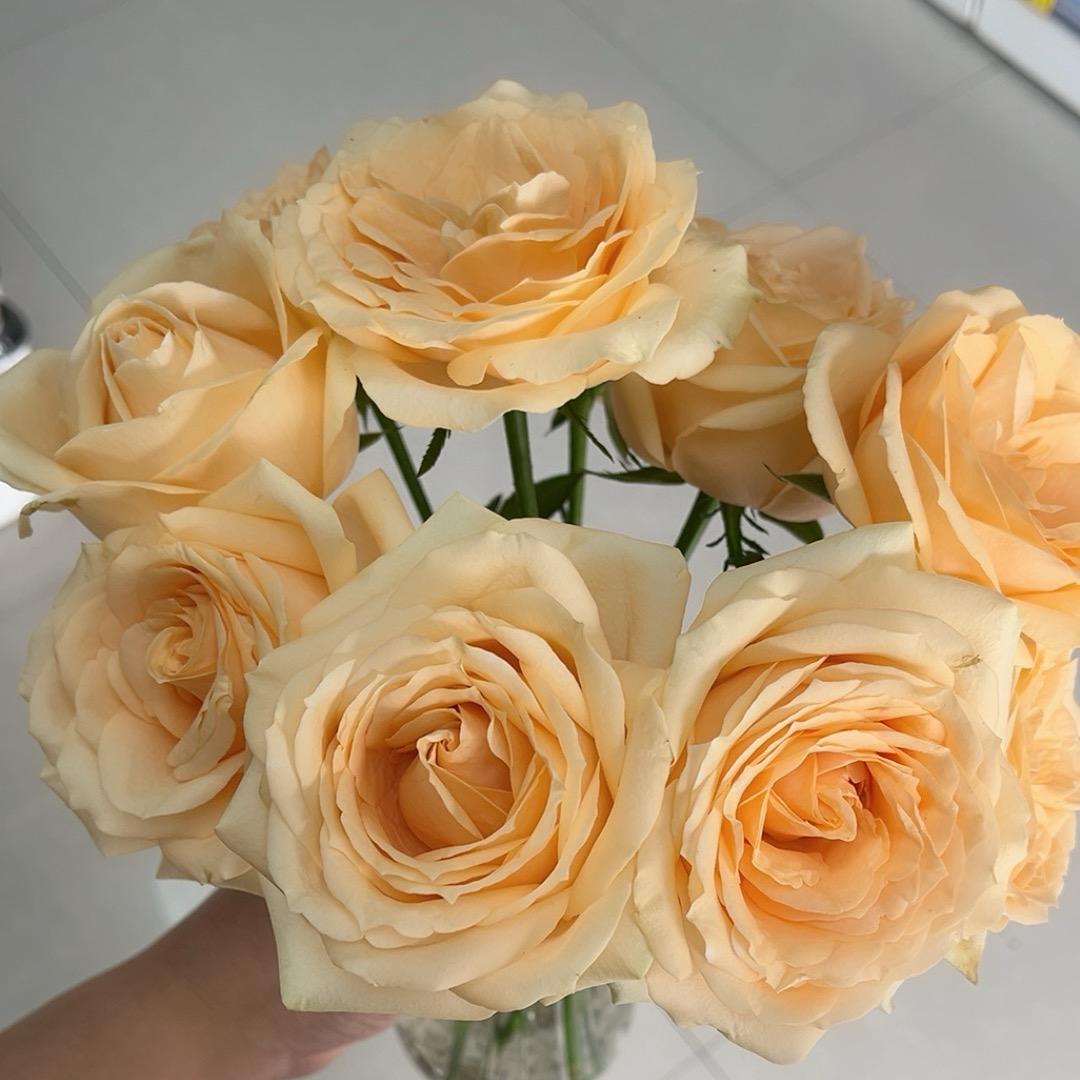 大轩妈妈很努力