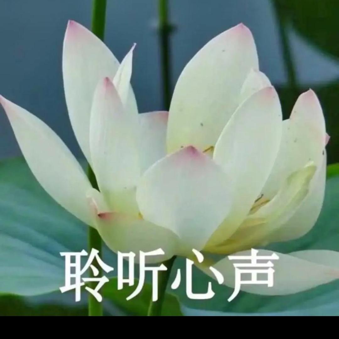 悠闲时光