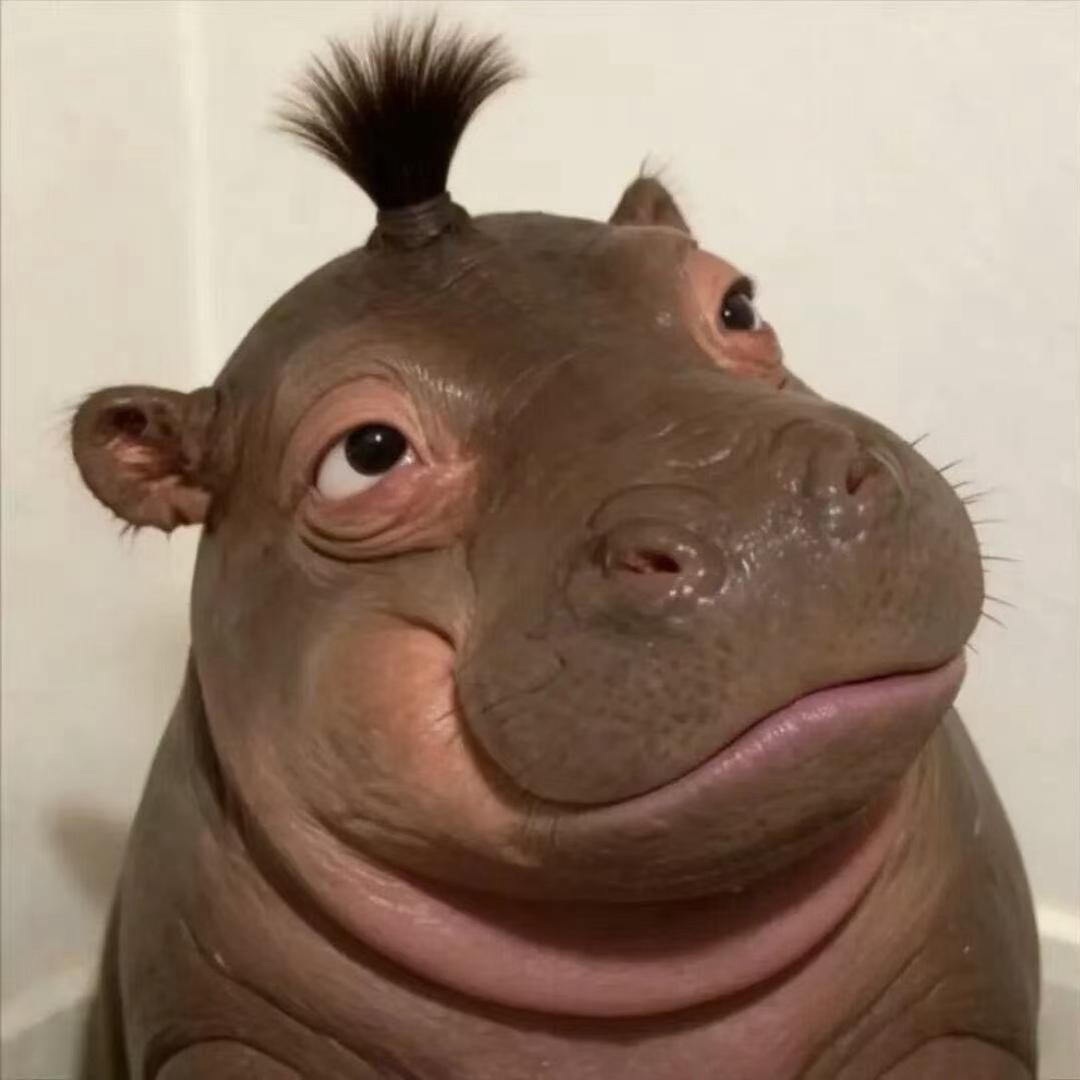 不太爱吃巧乐兹