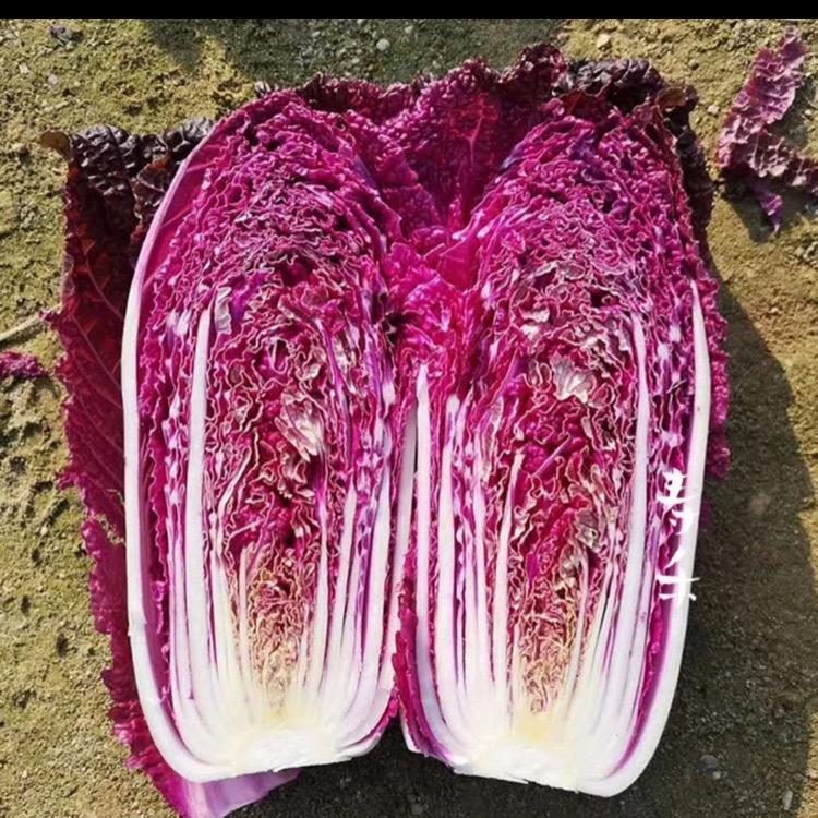 云腾严选