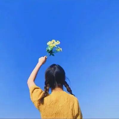 矢车菊
