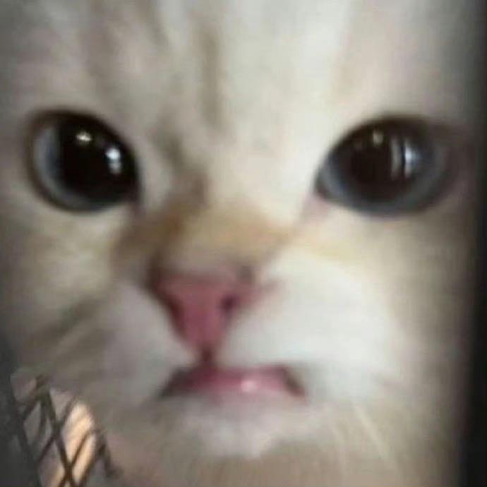 KKYUMI-