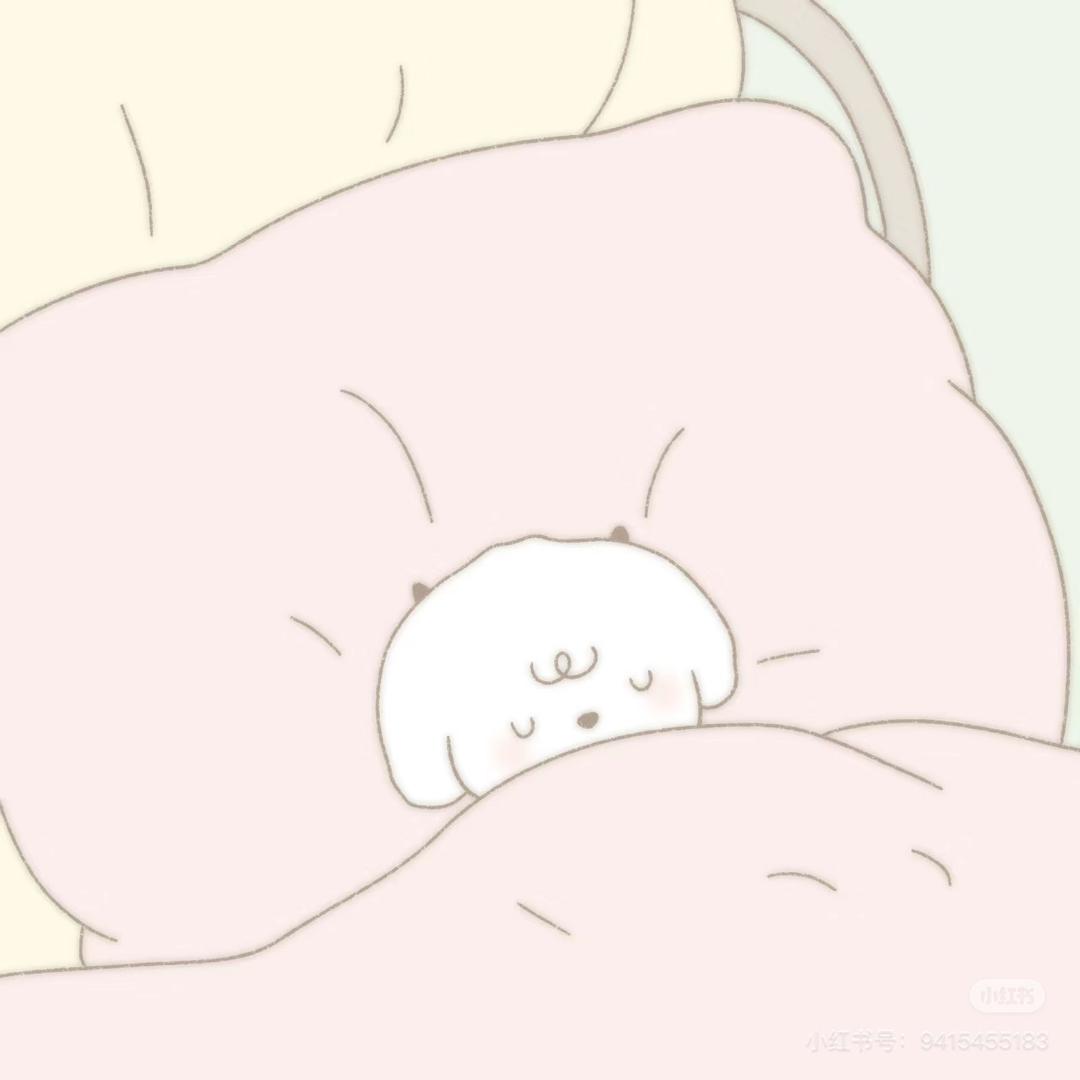 小饼干🐨