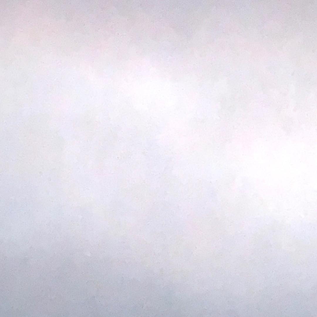 强哥果业