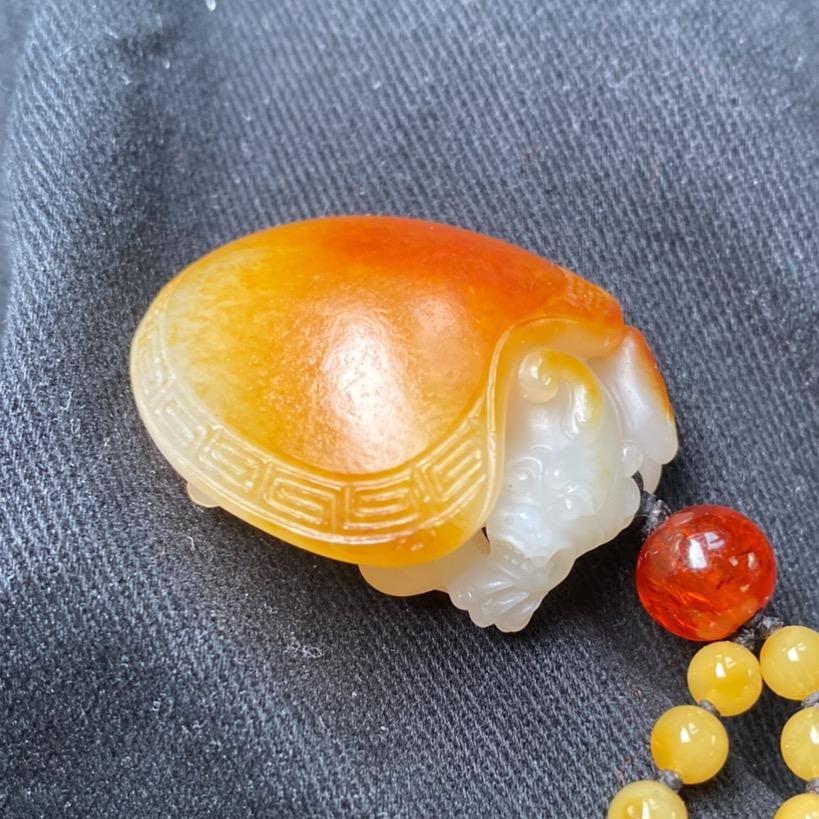 由申甲
