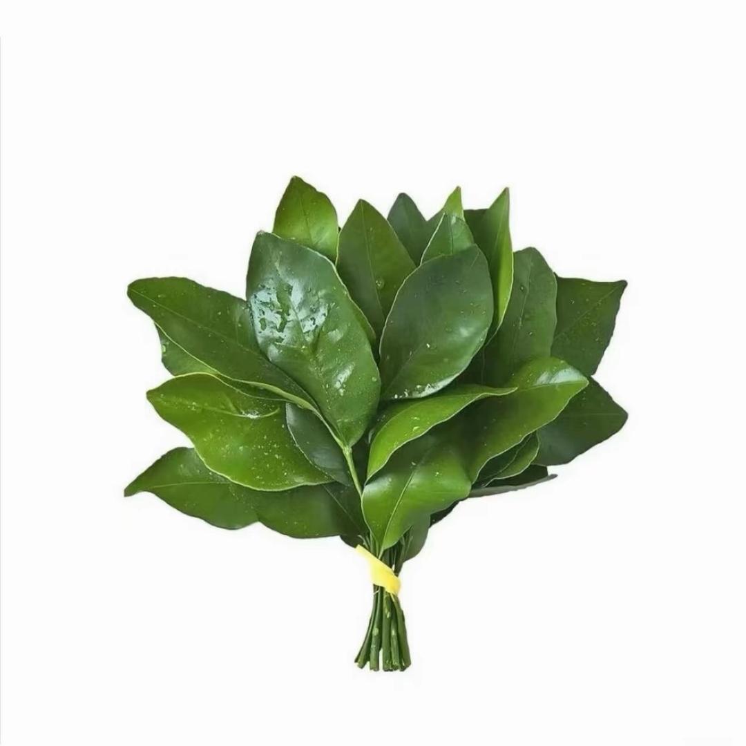 ‘Y
