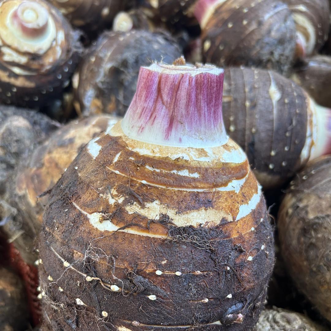 艳姐果蔬农产品供应