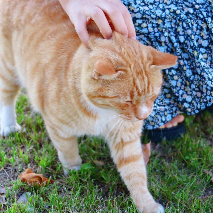 捡破烂的红孩儿