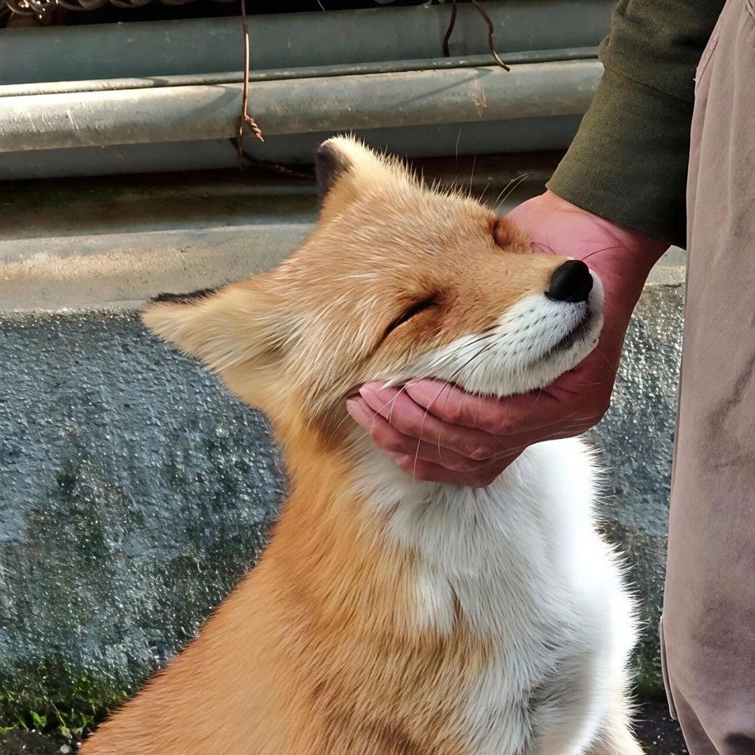 ـــ٨ـﮩﮩﮩــ💔ﮩ٨ـﮩﮩ٨ـ