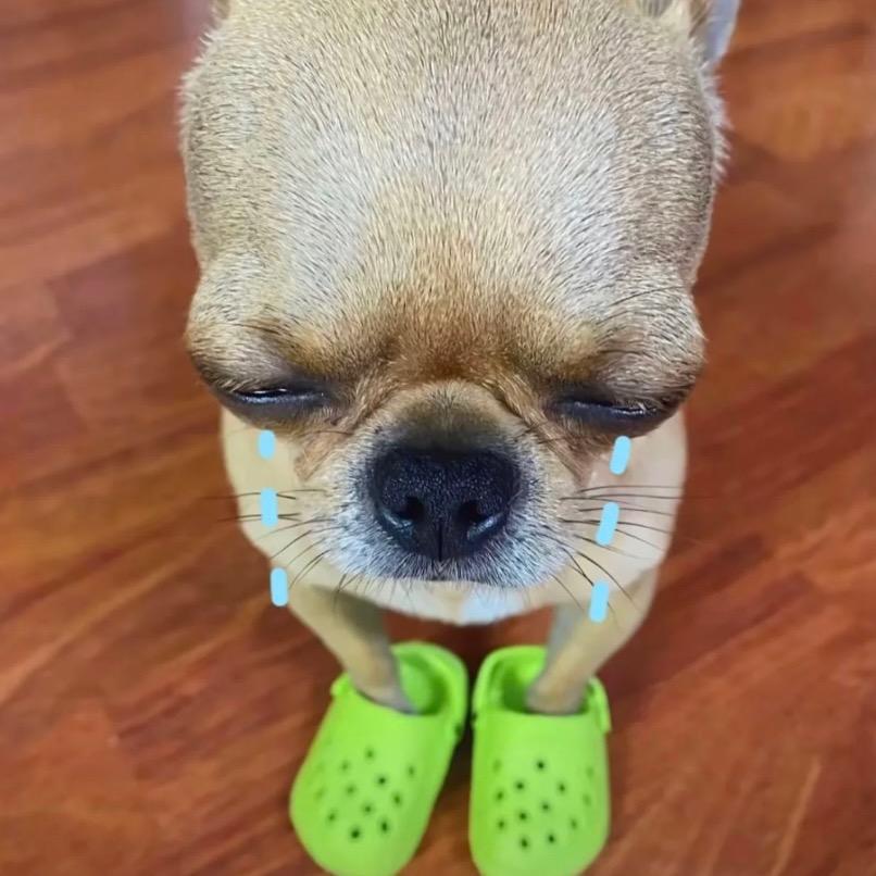 胡丙