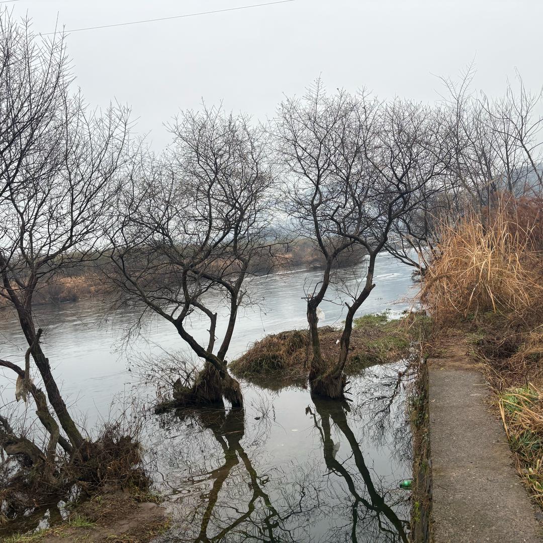 济宁好莱客全屋定制