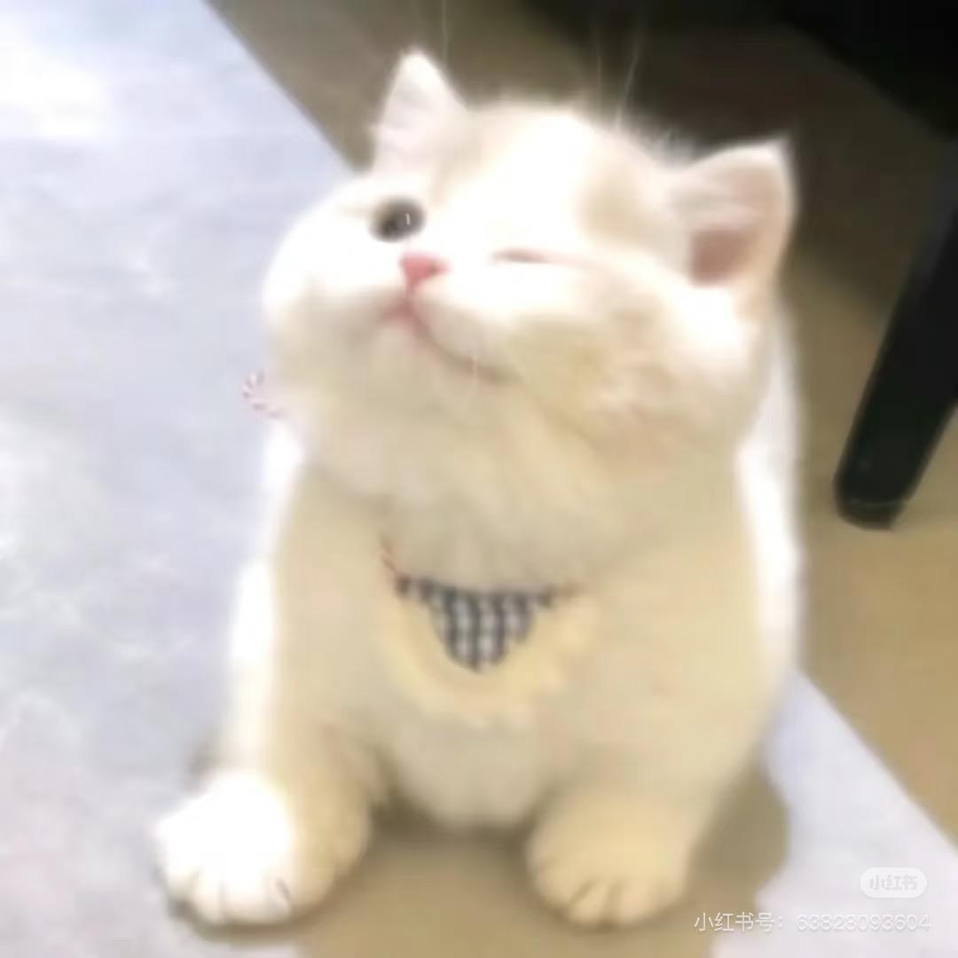 下雨天🫧