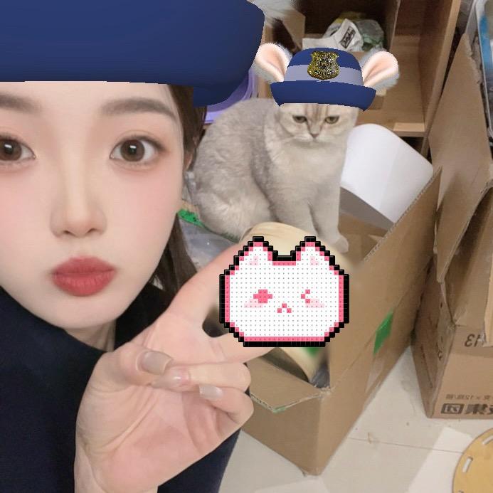 七七是个铲屎官