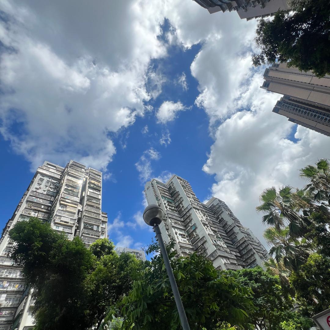 凌晨🕐一點的豬🐷