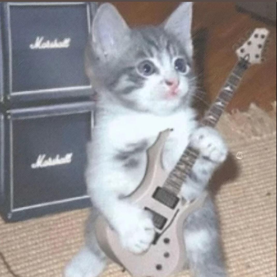 ziimmu.🎸