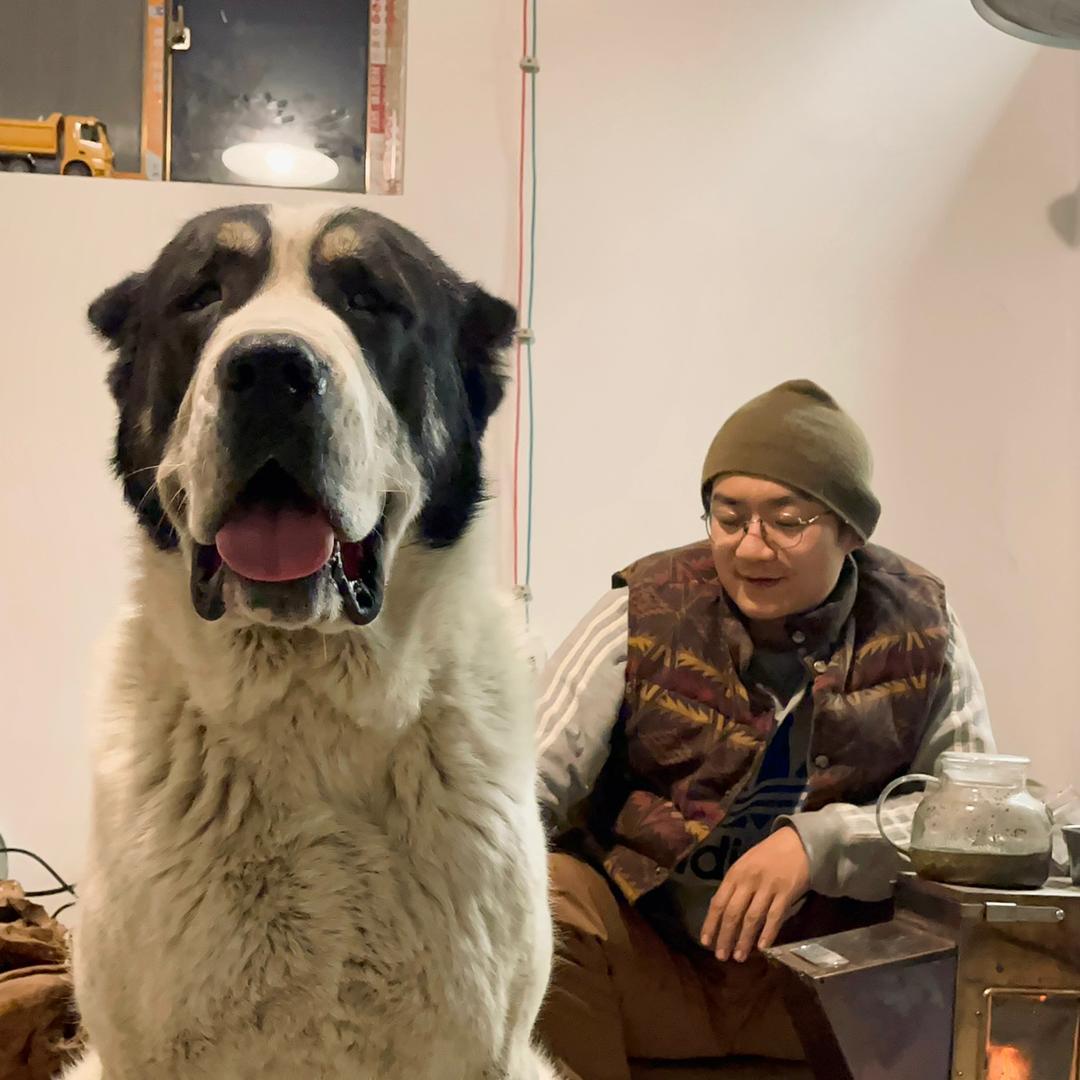 明亮与狗官方旗舰店