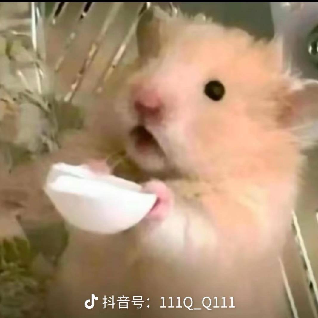 沐子呀!