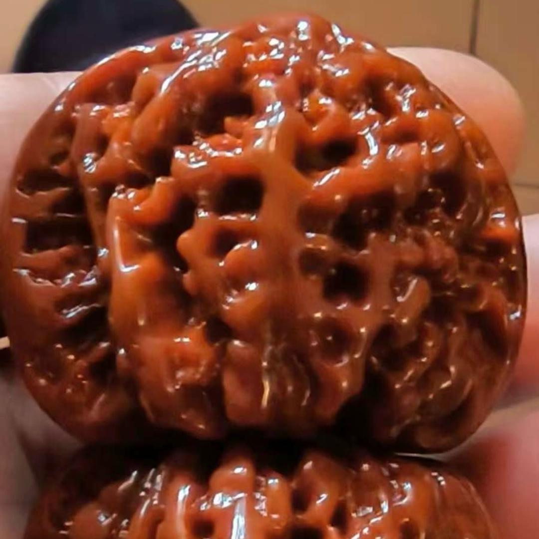 修核桃（核农）