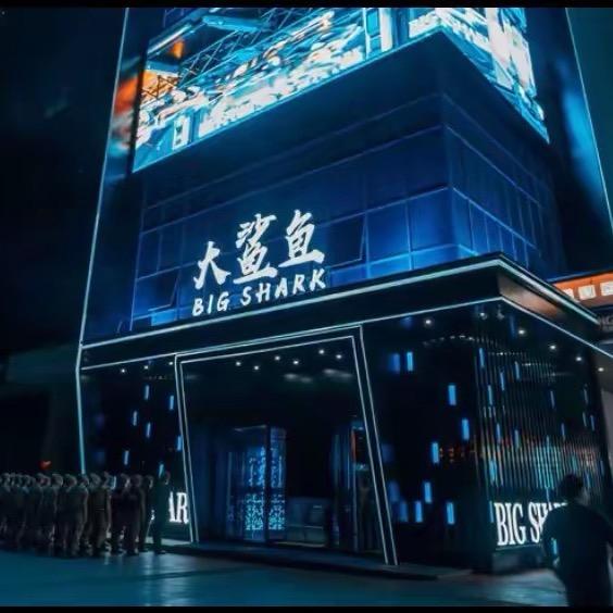 大鲨鱼饭饭