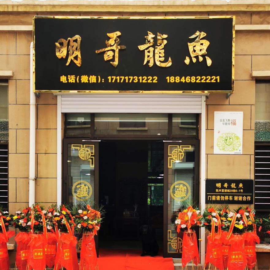明嫂聊鱼
