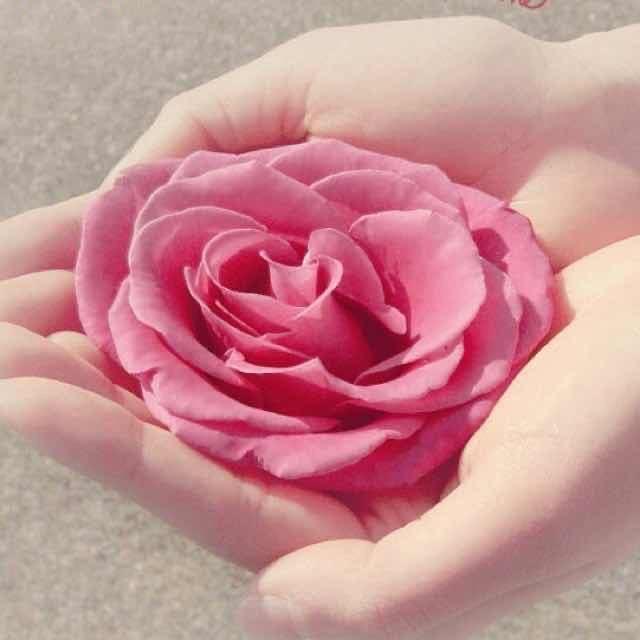 💝紫怡💝