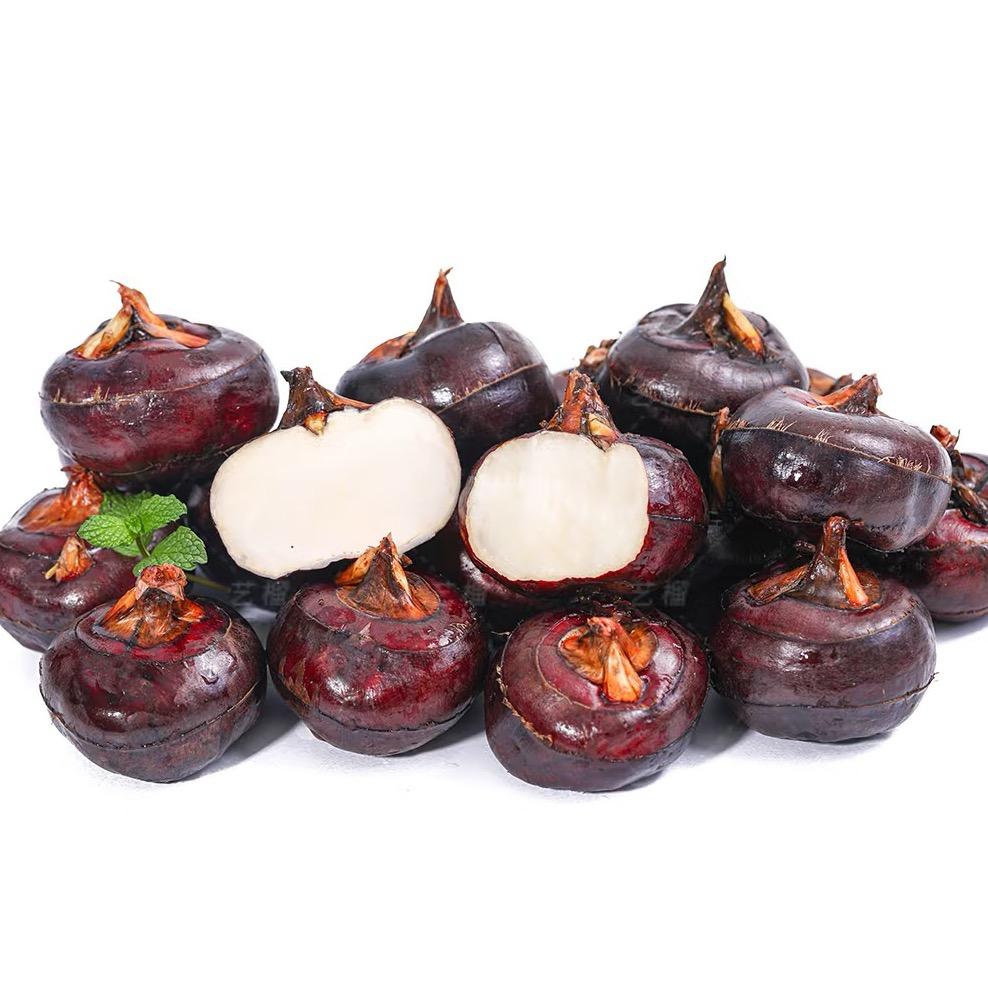 六安本地马蹄批发