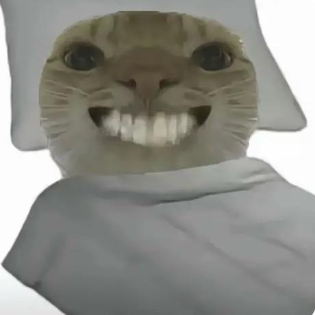 跑刀之神