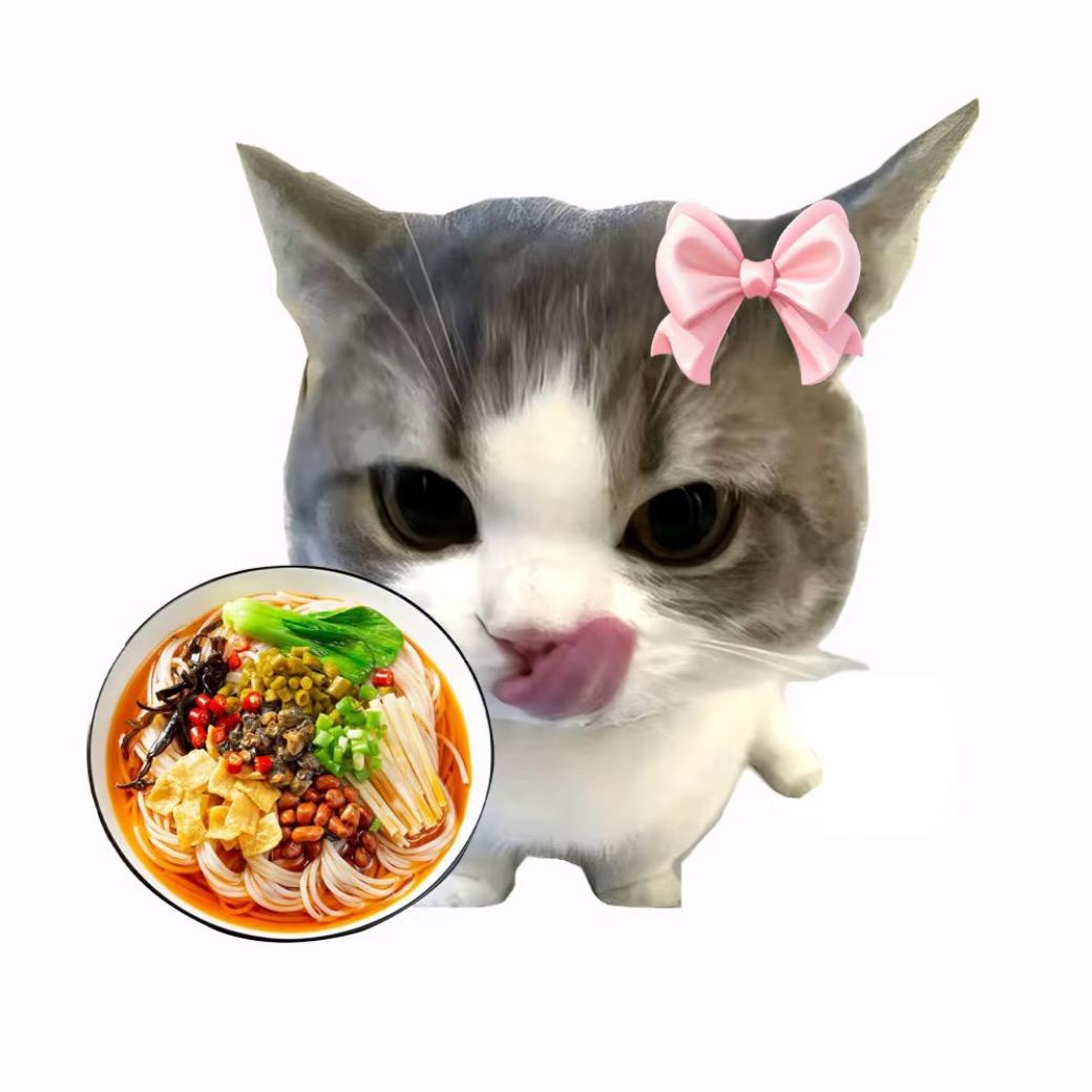 起司司司（慢更版