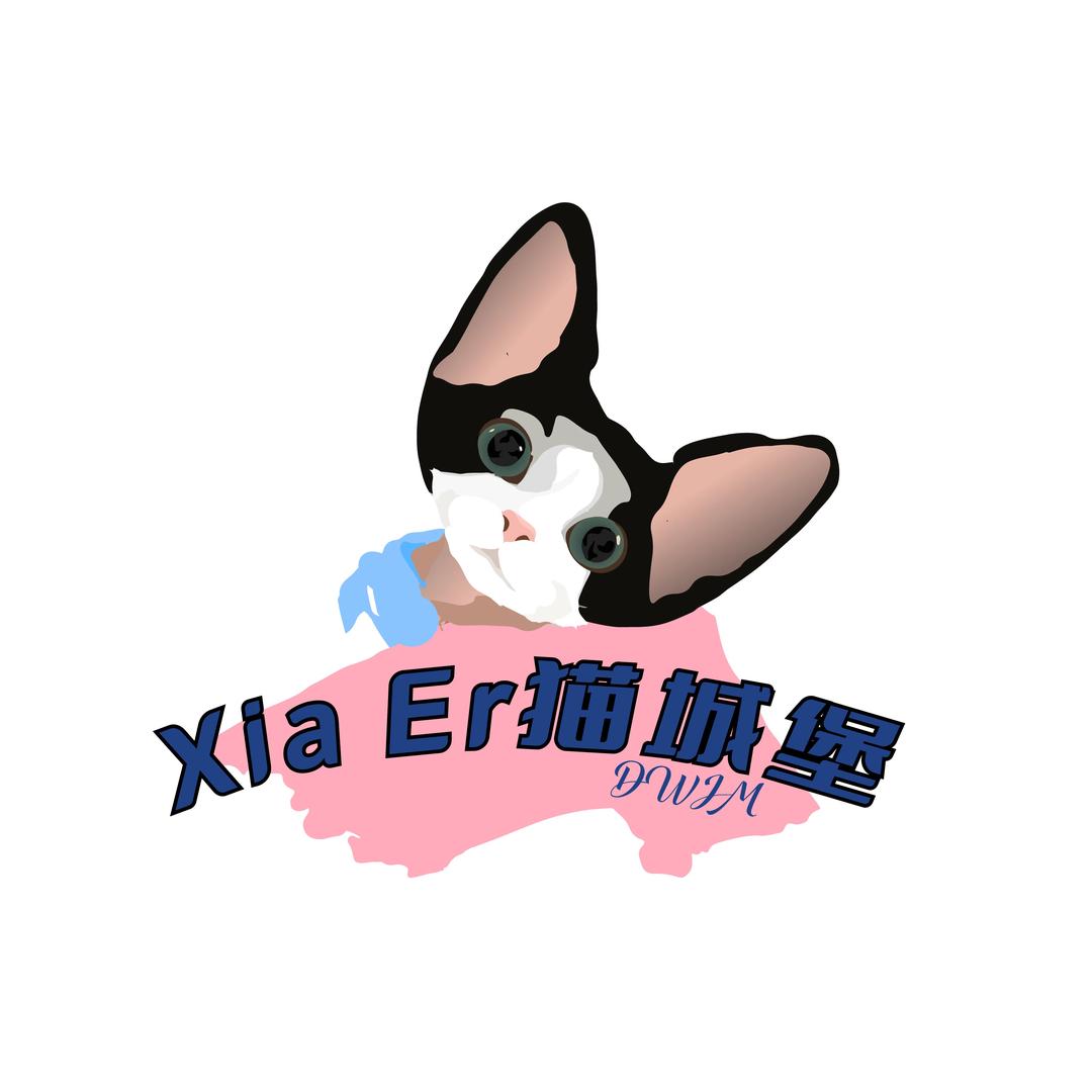 雪儿猫咪