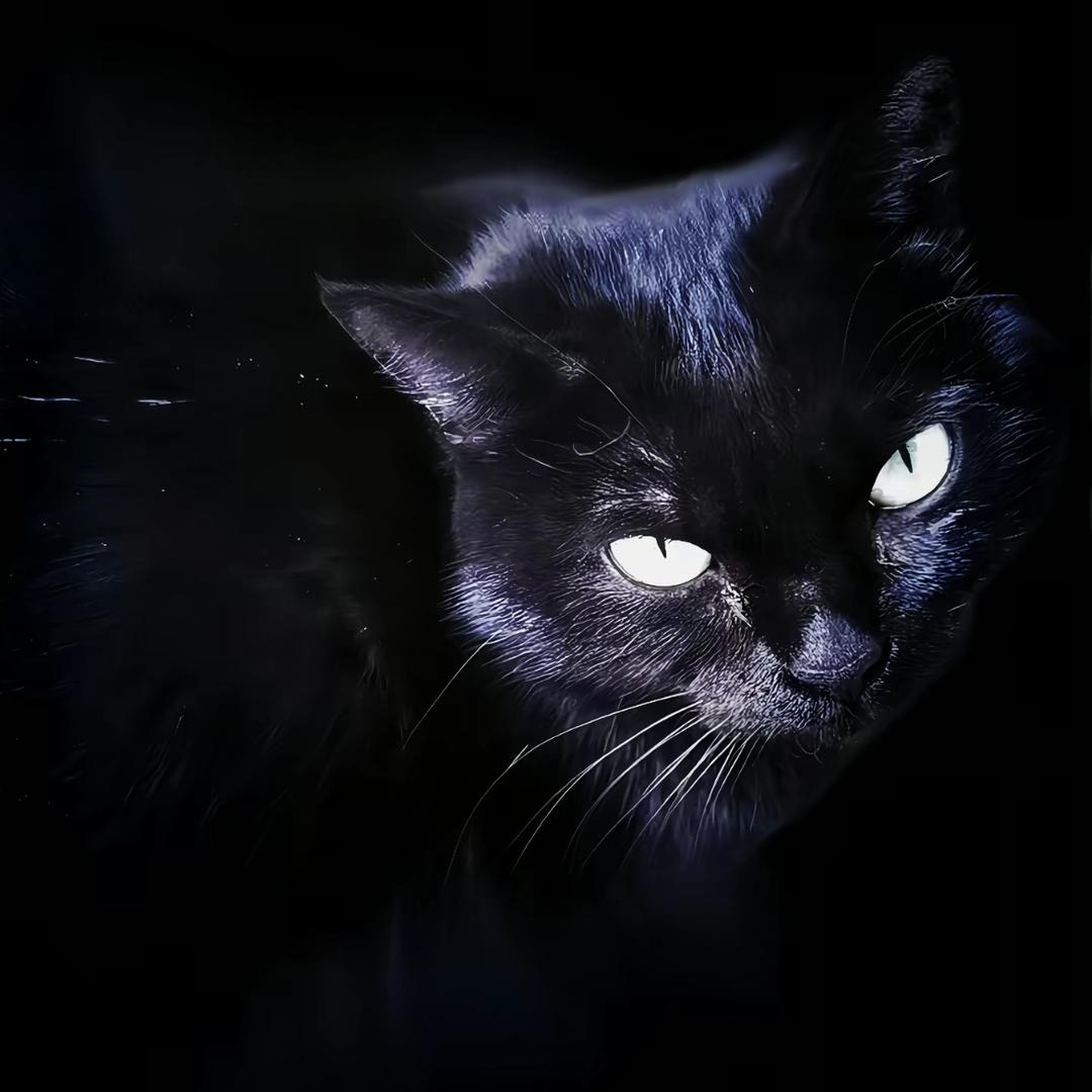 怀瑾