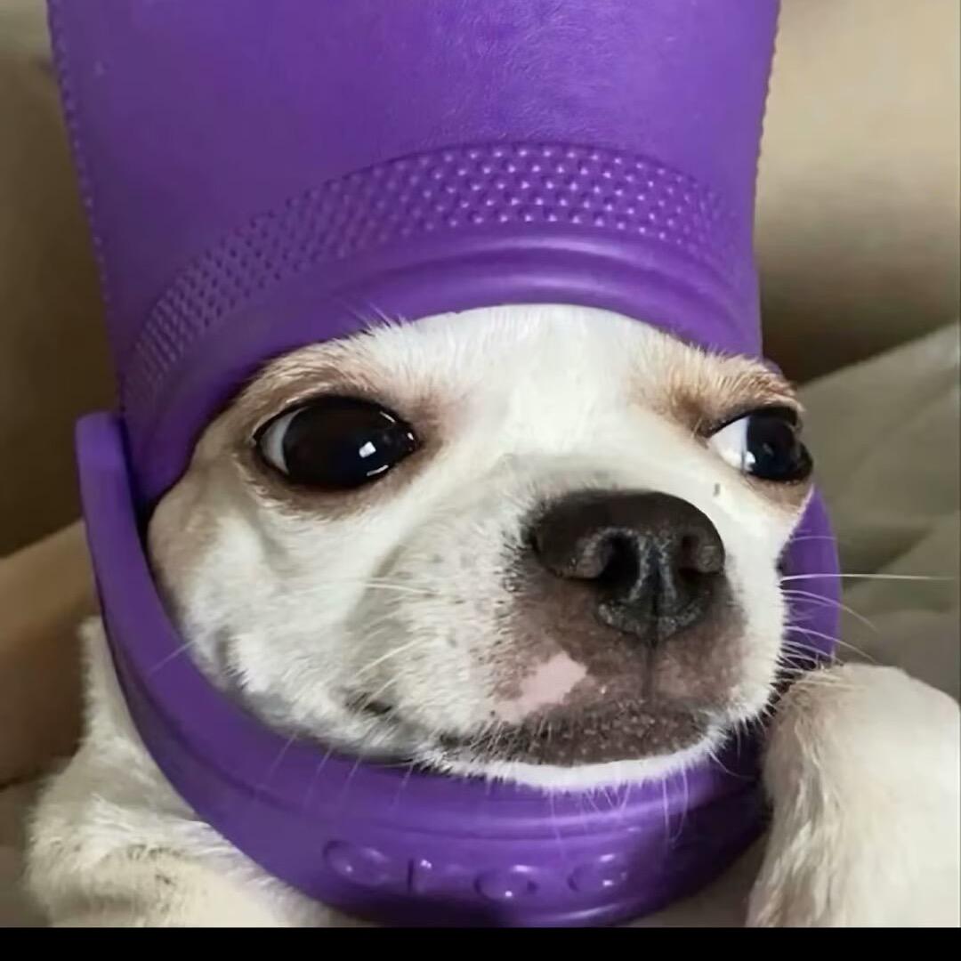 文文了个文