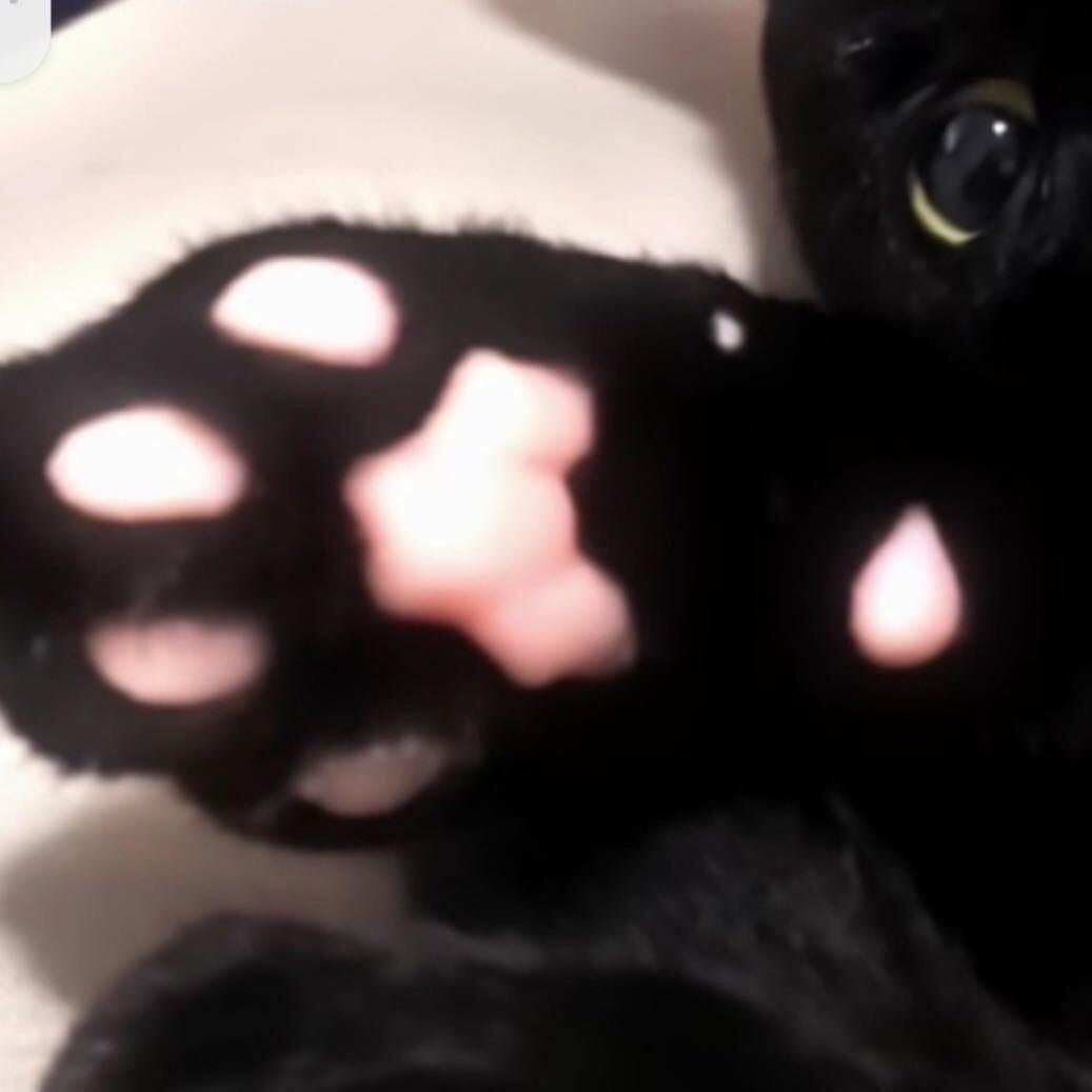 我似乎也不太了解她_