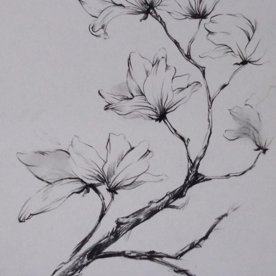 沐沐教你学拼音