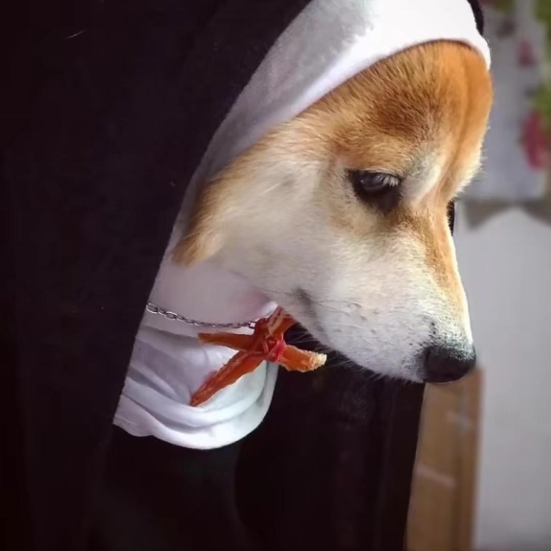 是浩男不是好难
