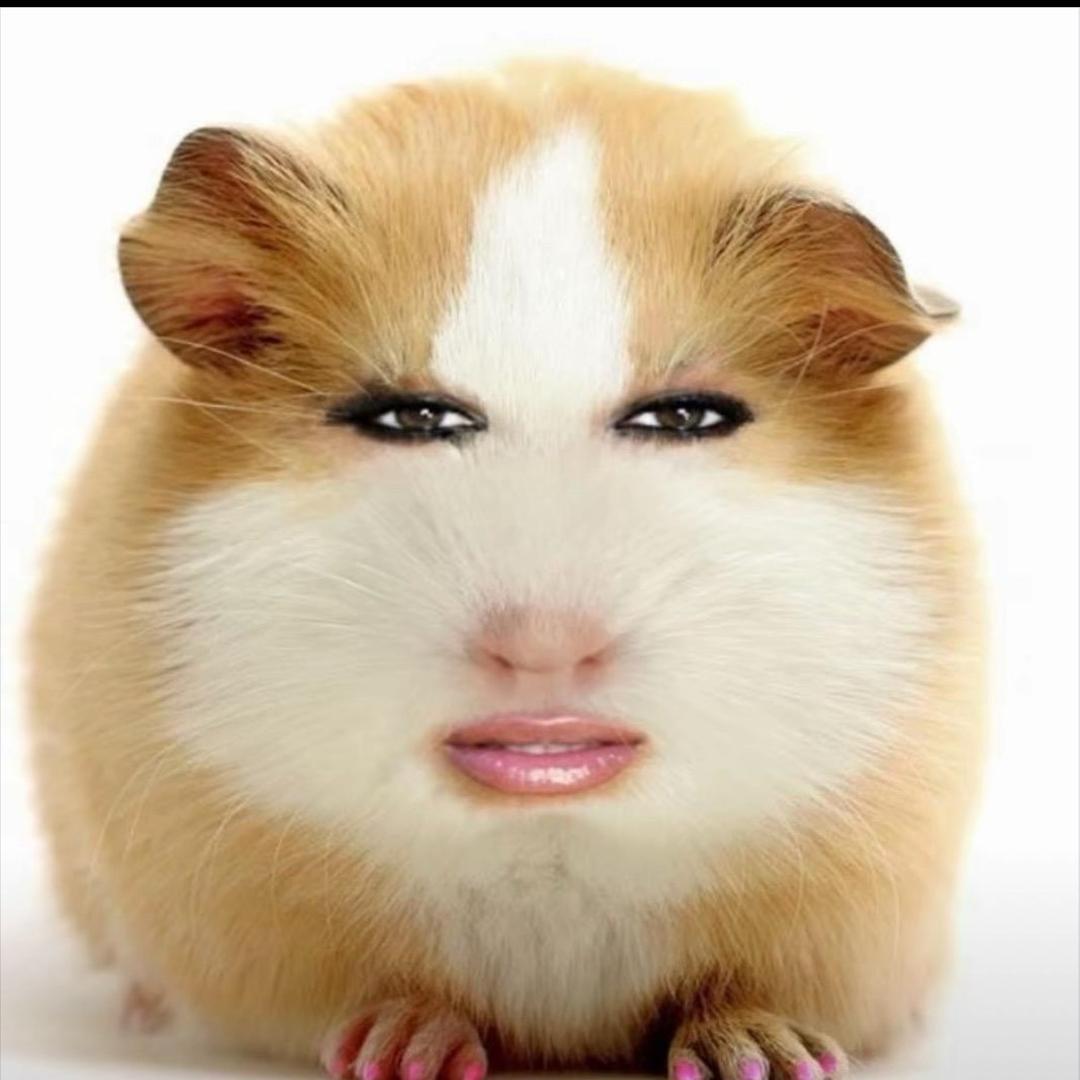 骑老奶奶闯红灯